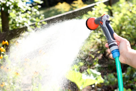 Hand hält Gartenspritze und bewässert Pflanzen